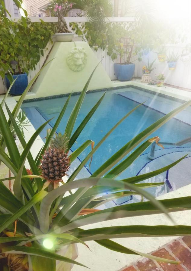 Bed and Breakfast The Artist House Key West Esterno foto