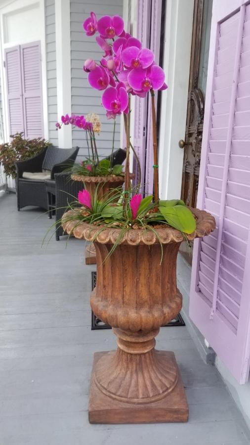 Bed and Breakfast The Artist House Key West Esterno foto